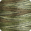 Deep Forest Green