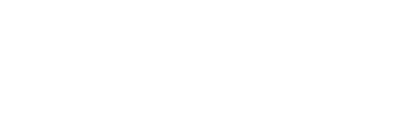 Q'nique 19x elite logo