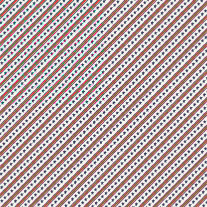 Stars and Stripes from Bloomin Americana (AGF)