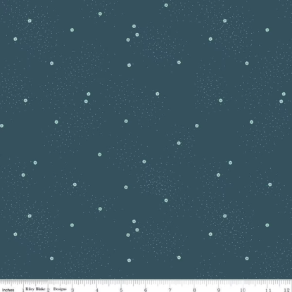 Stargazer from Dainty Daisy (RBD)