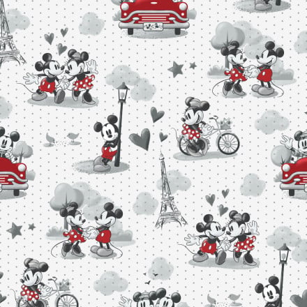 Mickey Mouse Club