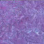 Amethyst from 1895 Water Colors (Hoffman) (885)