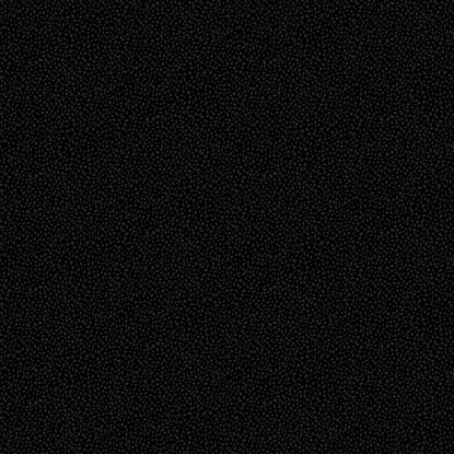 Spotty from Dusk (FIGO)