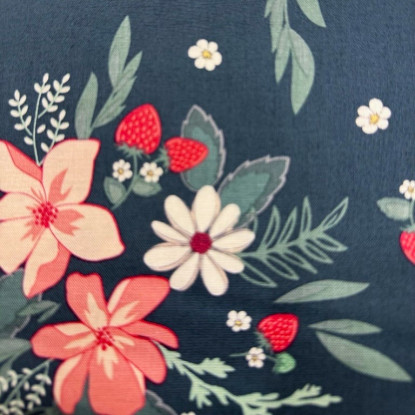 Main Stargazer from Berry Market (RBD)