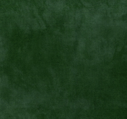 Alligator from Palette (WH)