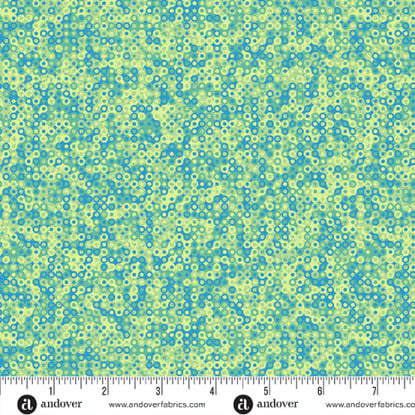 Cymbidium Fairy Rings From Mollys Magic (Andover)