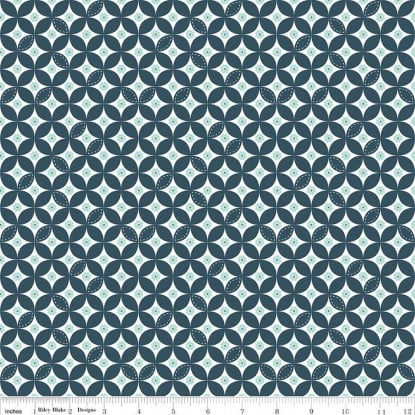 Daisies Stargazer from Berry Market (RBD)