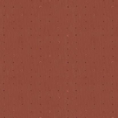 Seed Redwood from Seedling (AGF)