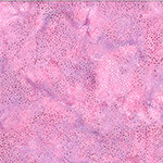 Petal from 1895 Water Color (Hoffman)