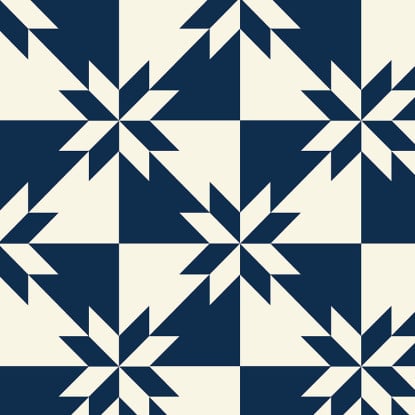 Hunter's Star Indigo from Perfect Points (WH)