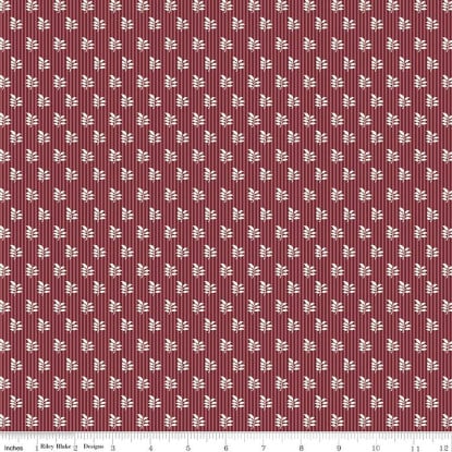 Mary from Pride & Prejudice (RBD)