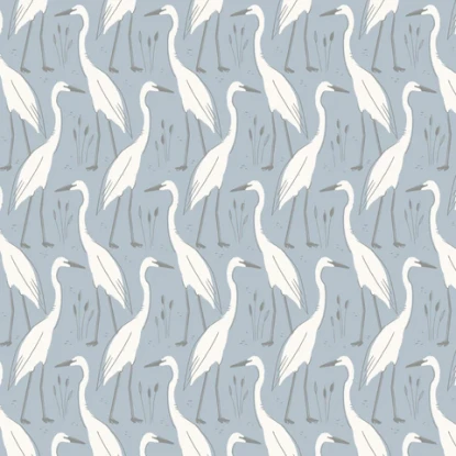 Harry | Blue from Coastal Calm (C9)