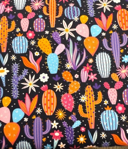 Cosmic Cacti from Cosmic Cowboy (Dashwood)