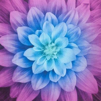 Panel - Aurora Panel by Dream Big