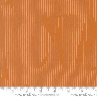 Pumpkin from Simply Cozy (Moda) (1894 15)